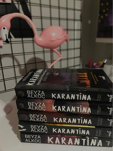 Beyza Alkoç Karantina (1-2-3-4-5)