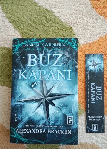 Karanlık Zihinler 2 - Buz Kapanı