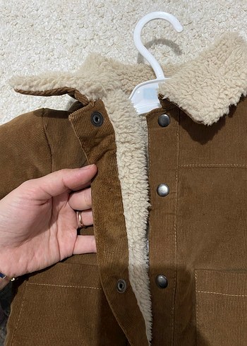 Kadife içi kürklü kaban - Görsel 5