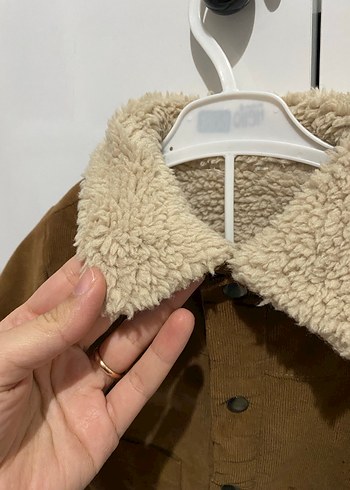 Kadife içi kürklü kaban - Görsel 3