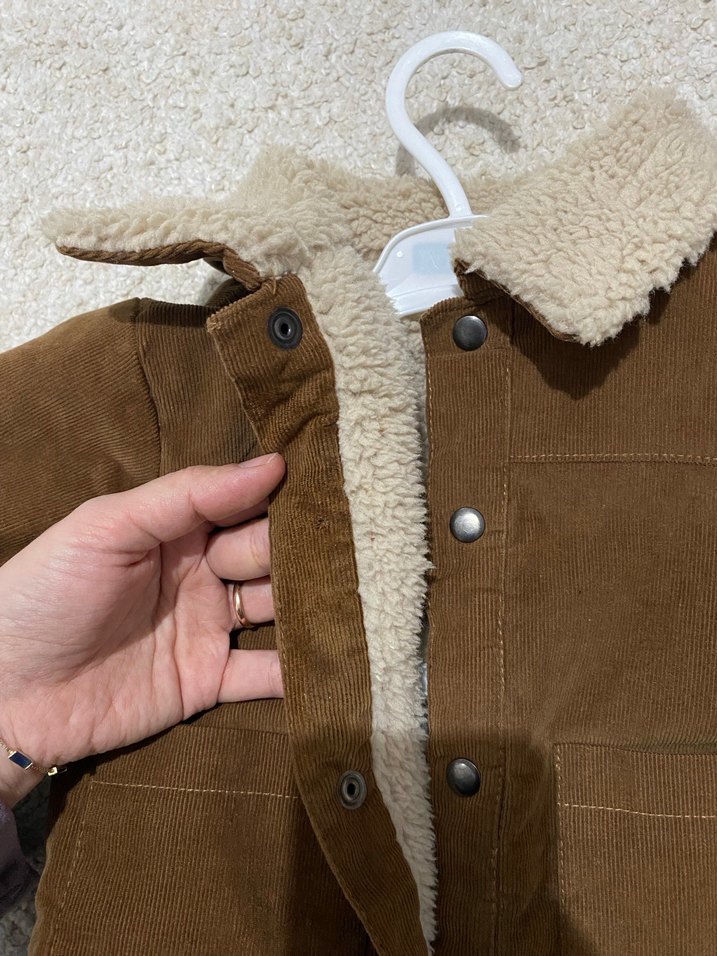 Kadife içi kürklü kaban - Görsel 5