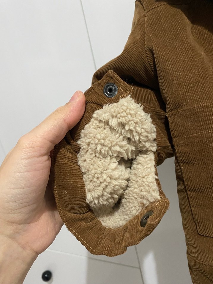 Kadife içi kürklü kaban - Görsel 2