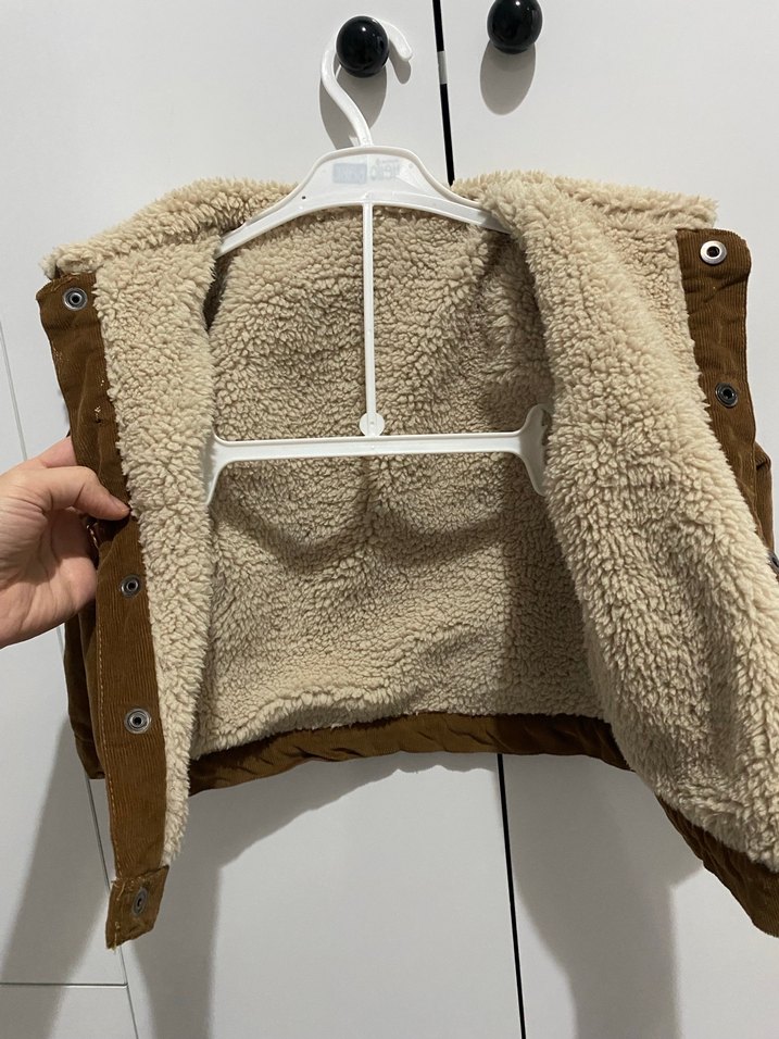 Kadife içi kürklü kaban - Görsel 4