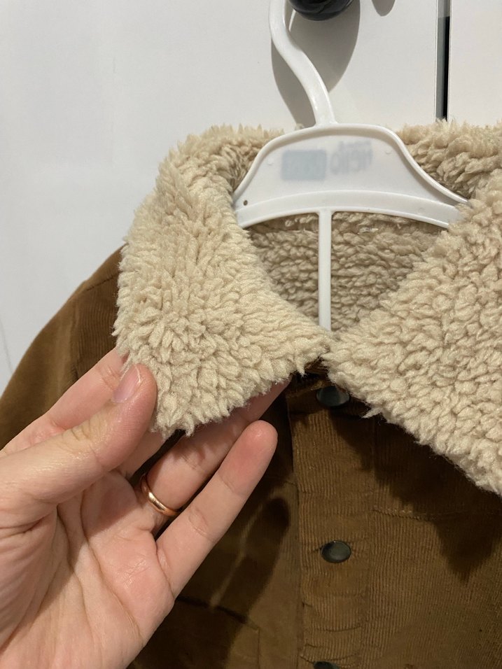 Kadife içi kürklü kaban - Görsel 3