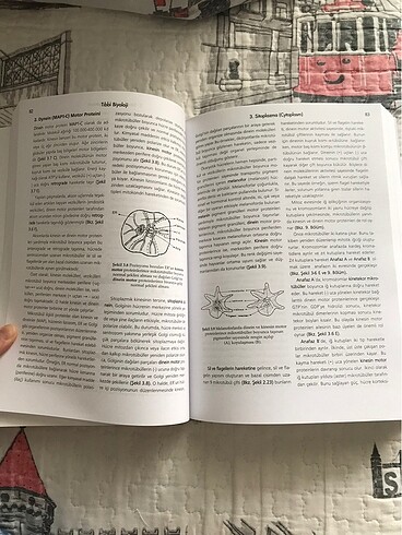 Tıbbi Biyoloji Ders Kitabı
