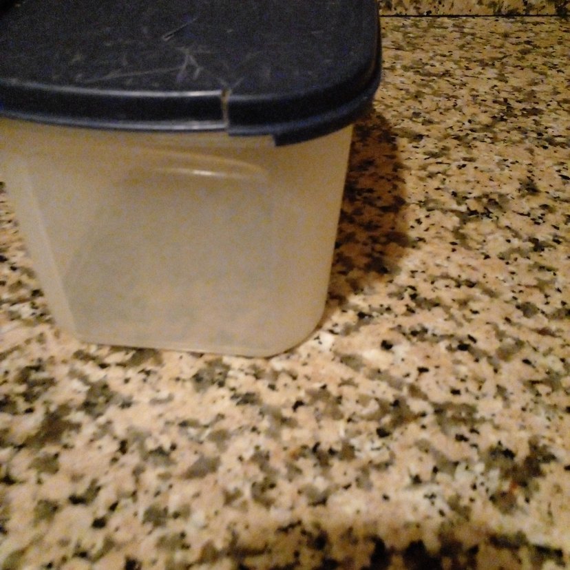 Tupperway 1.9 litre saklama kabı - Görsel 2