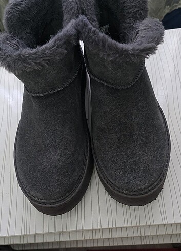 Ugg Bayan bot