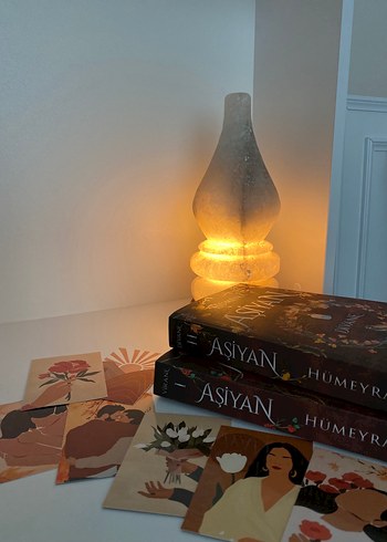 Hümeyra Aşiyan - Divane & Virane Roman Seti