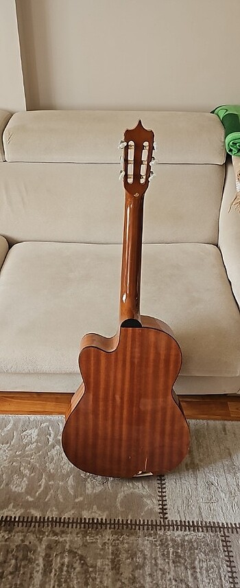 Diğer Gitar