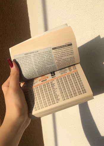 2013 Çınar Eski Takvim - Görsel 2