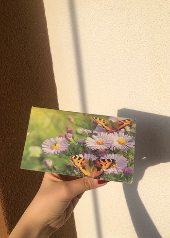 2013 Çınar Eski Takvim - Görsel 4