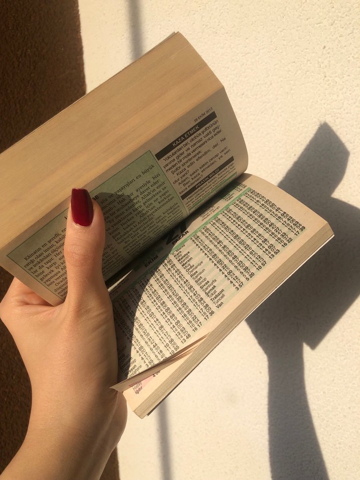 2013 Çınar Eski Takvim - Görsel 3