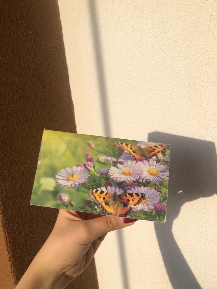 2013 Çınar Eski Takvim - Görsel 4