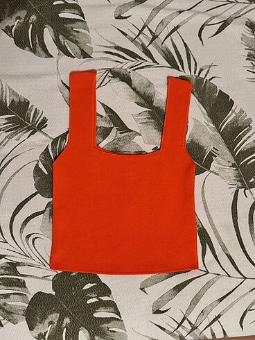 universal Beden çeşitli Renk Zara Crop