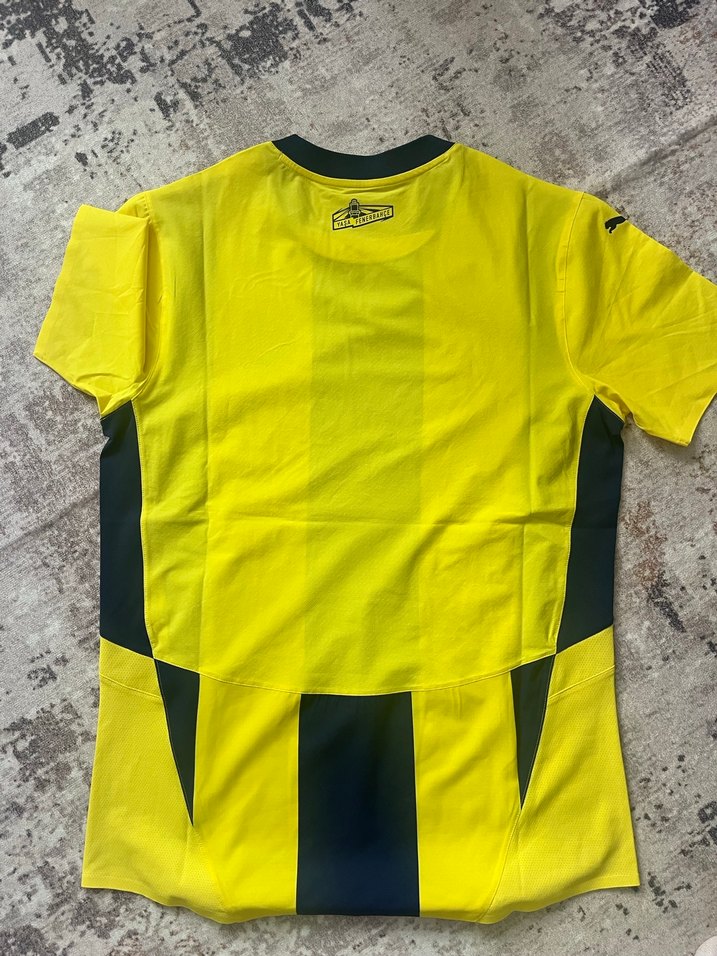 Fenerbahçe forması - Görsel 2