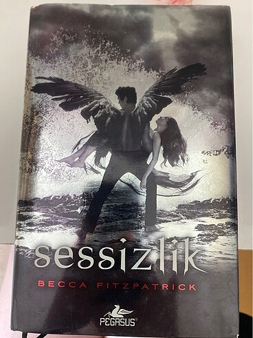 Sessizlik (Hush hush serisi)