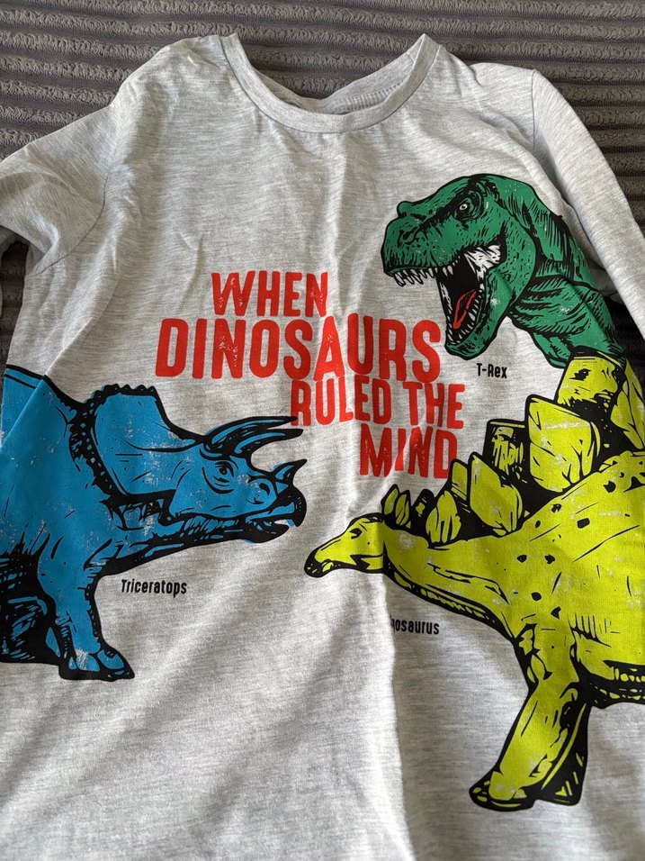 Gri Uzun Kollu Baskılı Erkek Tişört - Görsel 2