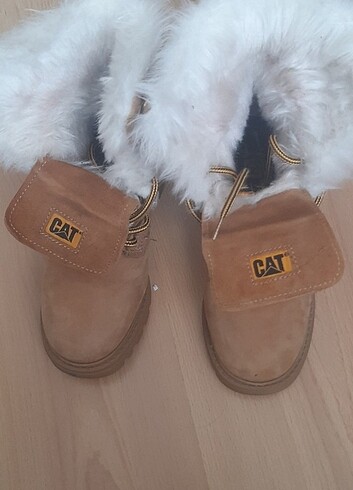 34 Beden camel Renk Cat bot