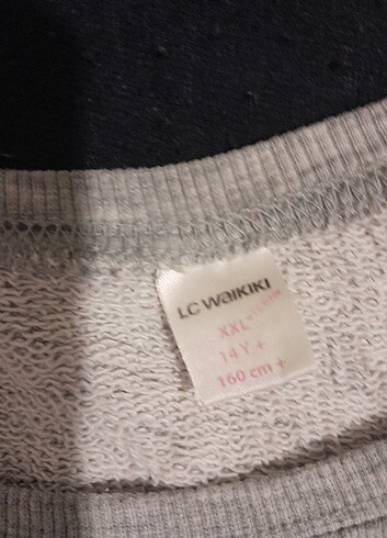 LC Waikiki Sweatshirt