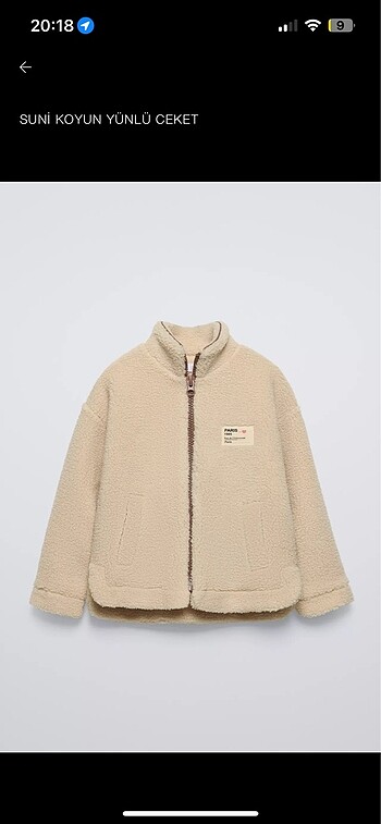 Zara peluş teddy suni yünlü ceket