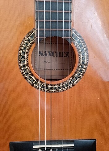 Diğer Gitar