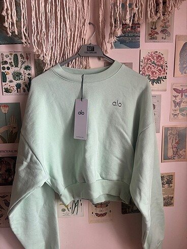 Alo yoga sweatshirt