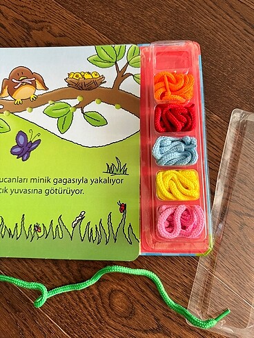  Beden Renk Eğlenceli Hayvanlar