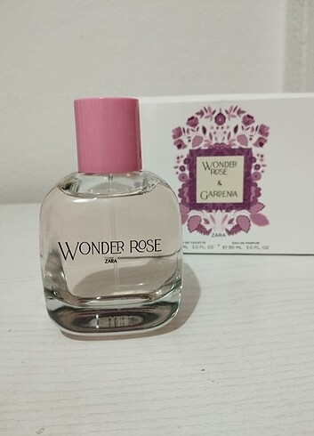 Zara gardenıa wonder rose