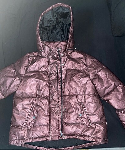 Mont.