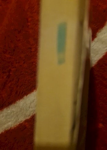 Meşhur Olan Fakir Çocuklar - Recep Şükrü Apuha - Görsel 2