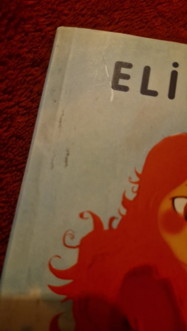 Sakız Sardunya Çocuk Kitabı - Elif Şafak - Görsel 2