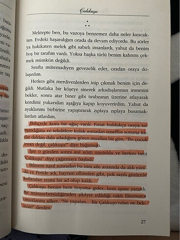  Beden Reşat Nuri Gültekin / Çalıkuşu