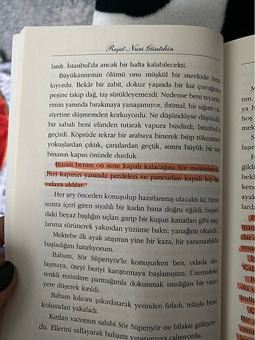  Beden Renk Reşat Nuri Gültekin / Çalıkuşu