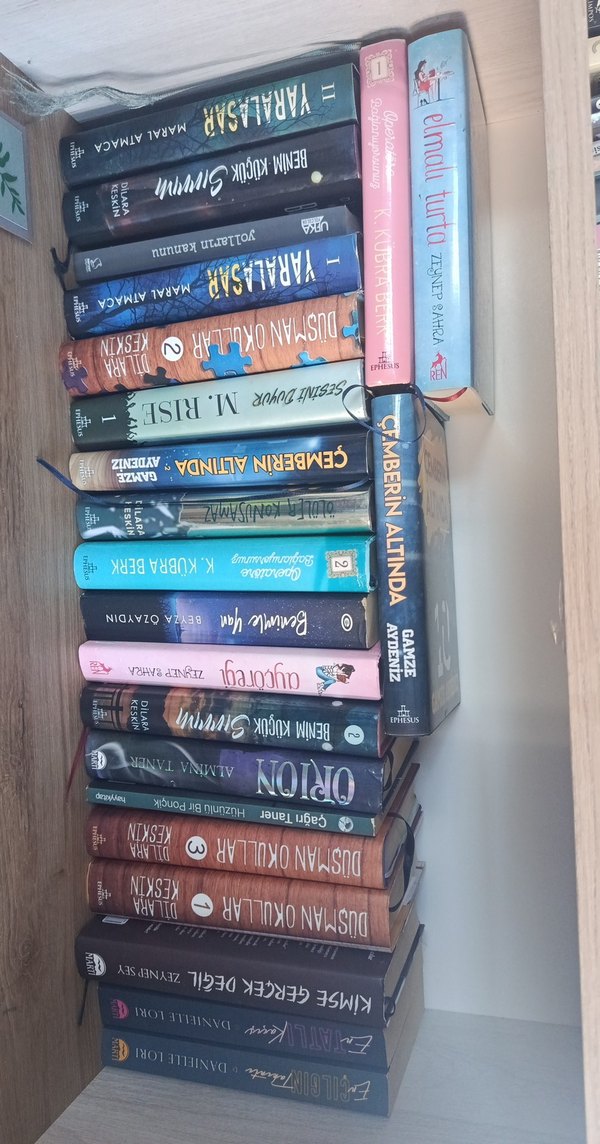 genç roman - Görsel 3