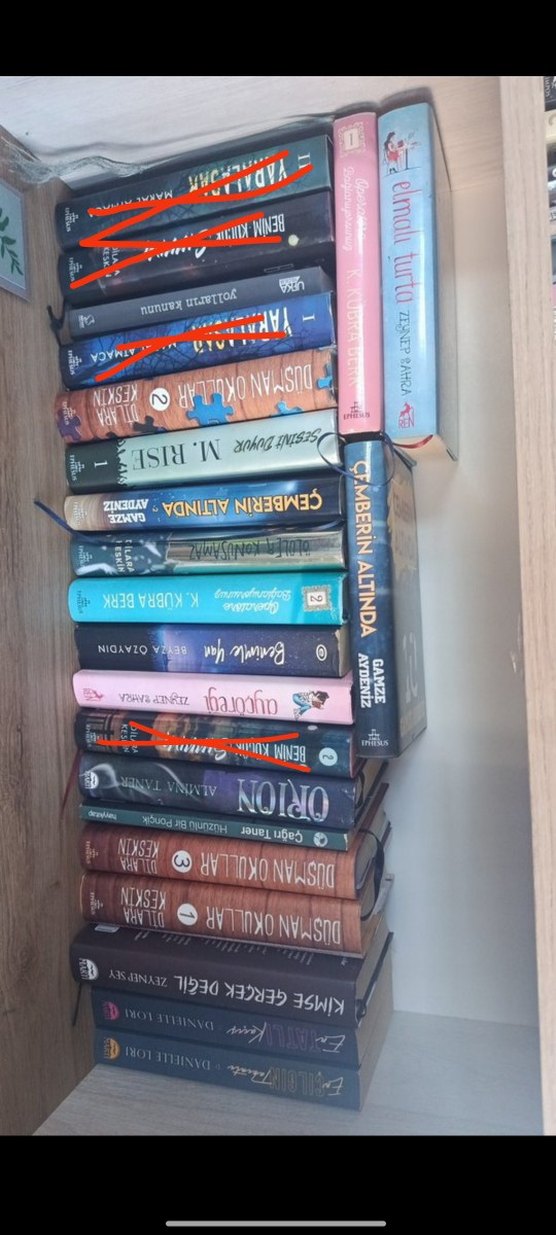 genç roman - Görsel 4