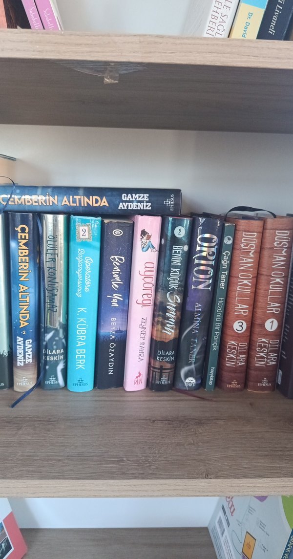 genç roman - Görsel 2