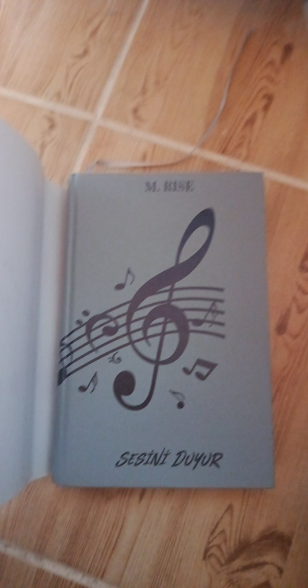 Sesini Duyur - M. Rise - Görsel 3