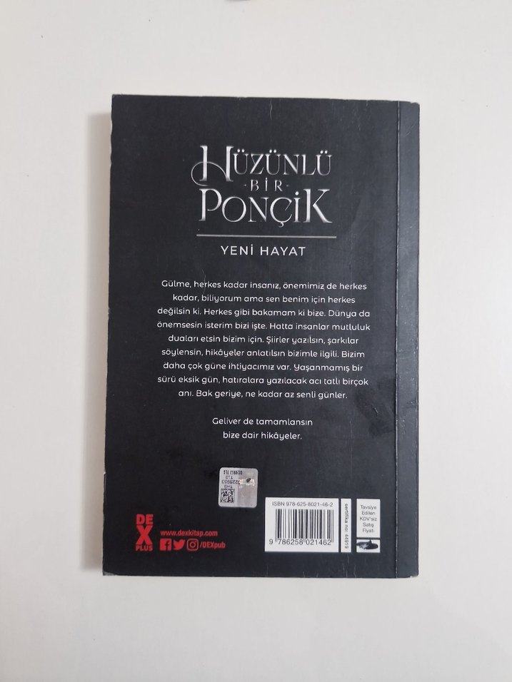 Hüzünlü Bir Ponçik - Yeni Hayat - Görsel 2