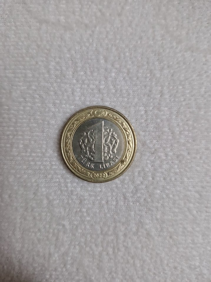 100.yıl özel para - Görsel 2