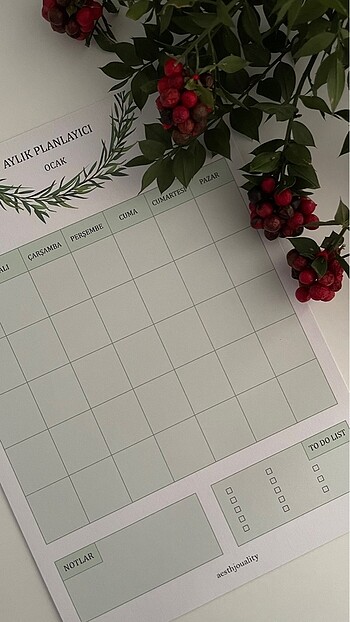 Beden Renk Haftalık Planlayıcı (A4) (zamansız)