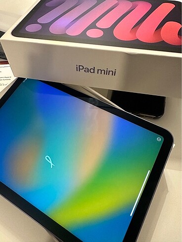 iPad mini 6 256 GB
