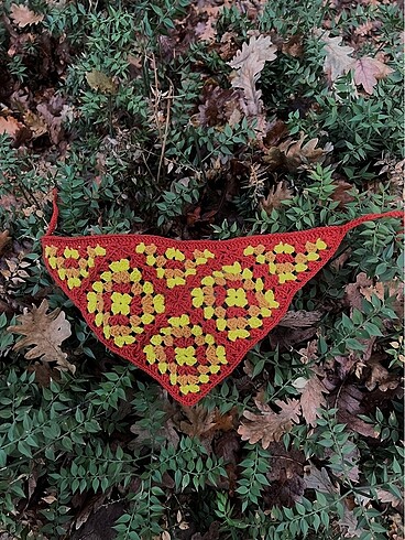 Bandana