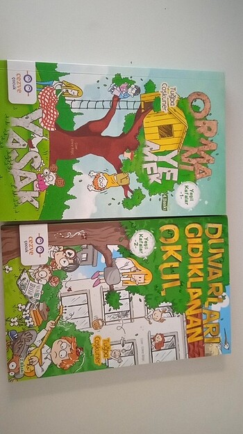 Duvarları gidiklanan okul - ormanı yemek yasak ( Tuğba Coşkuner)