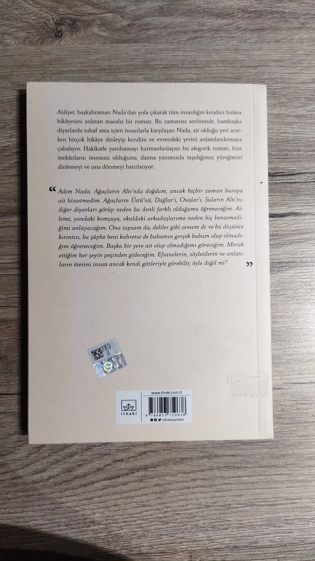 Aidiyet - Hande Sarman - Görsel 2