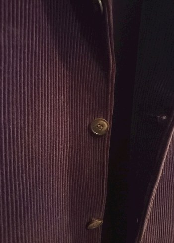 Kahverengi Düğmeli Erkek Kadife ceket - Görsel 3