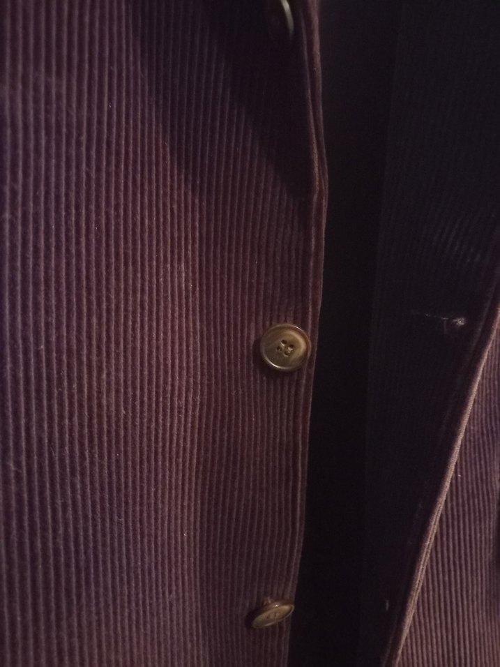 Kahverengi Düğmeli Erkek Kadife ceket - Görsel 3