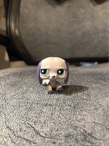 lps miniş dachshund köpek