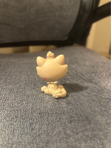  lps miniş himalayan kedi