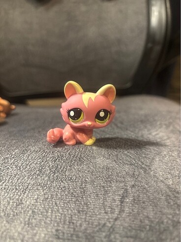 lps kedi miniş