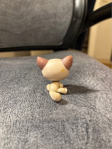 lps sitting shorthair kedi miniş